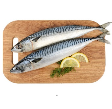 Horse Mackerel